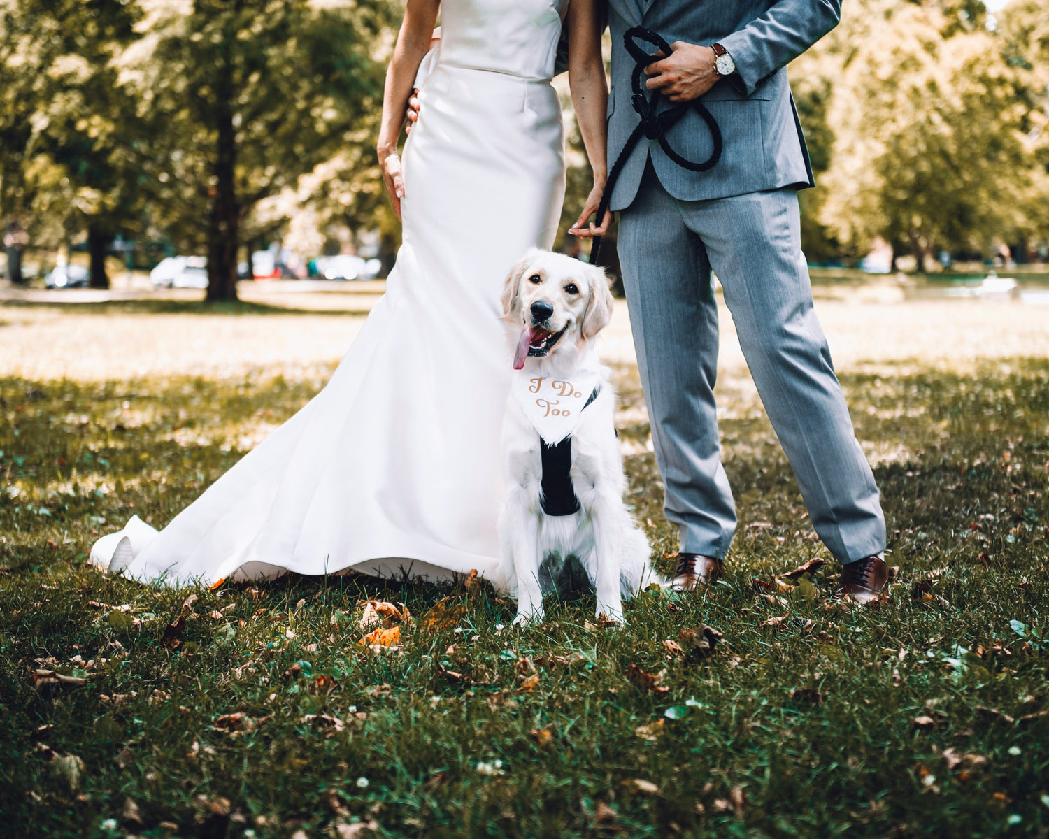 bride and groom holding hands with dog