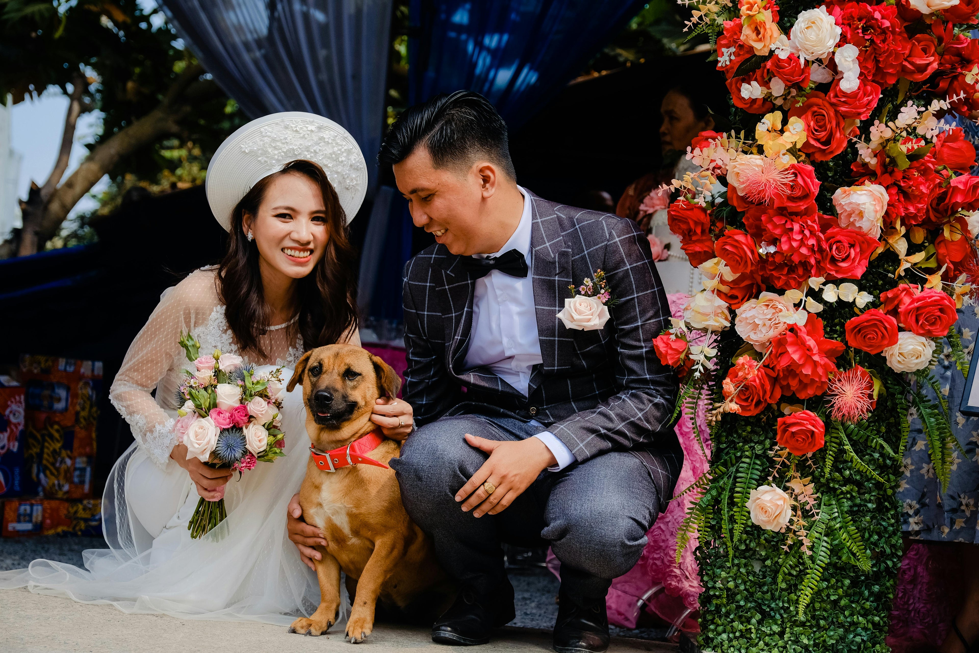 bride groom with their dog