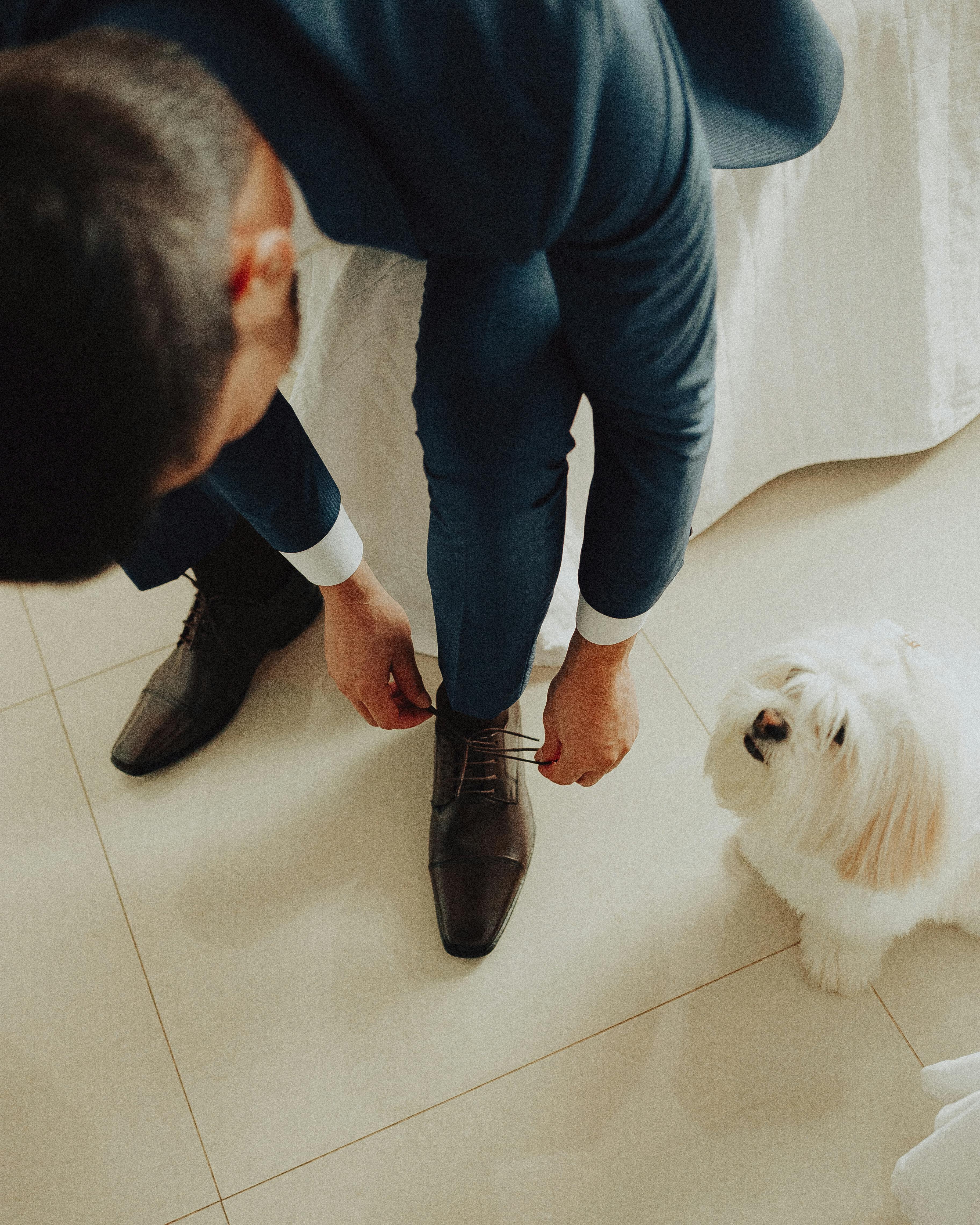 groom ties shoe as little white dog looks on