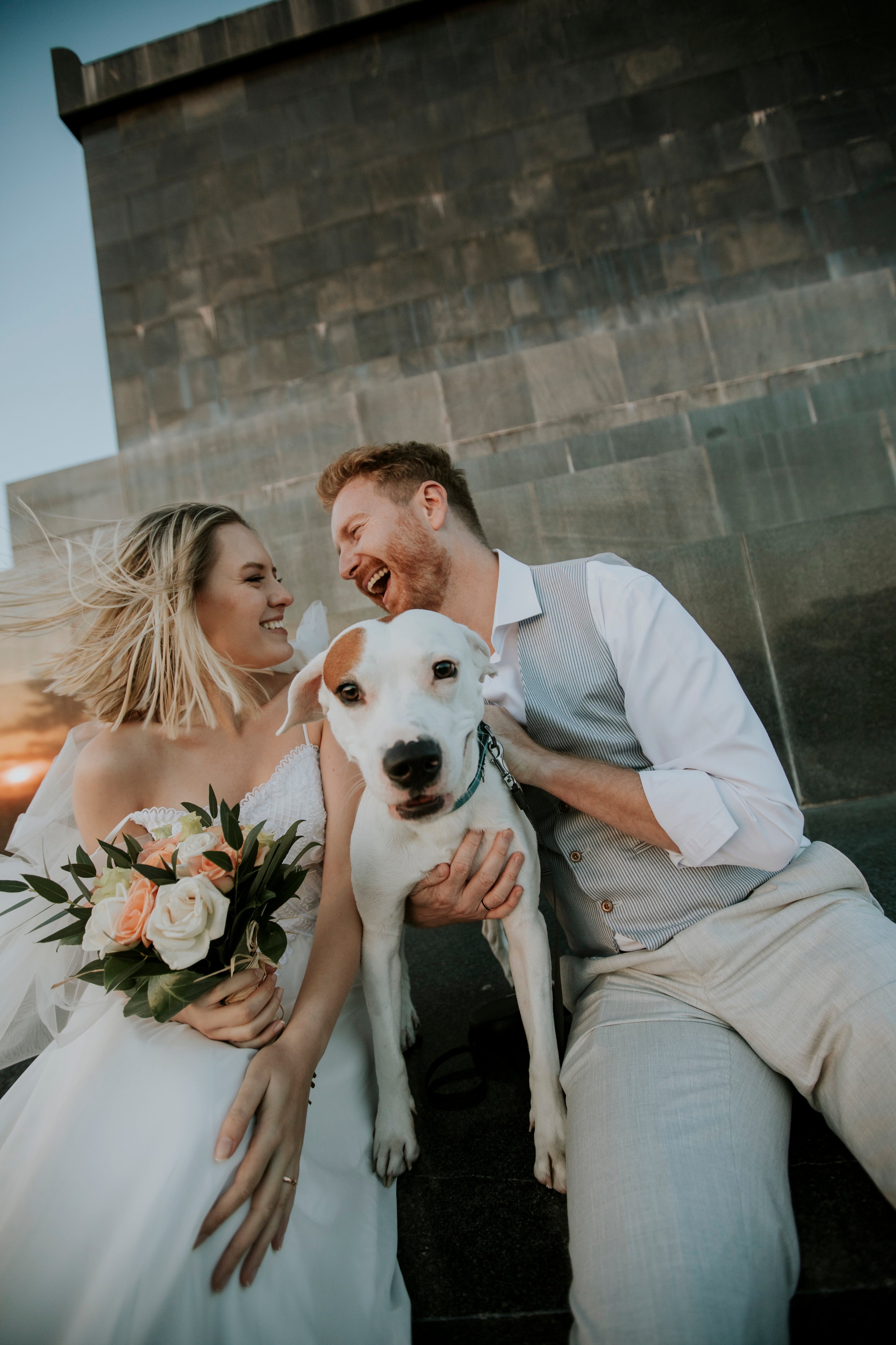Couple in wedding attire with a dog, sitting on a stone wall.